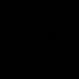 Meet your Posher, Nina